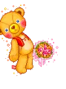 cute bear