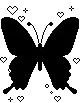black butterfly