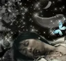 blue butterfly