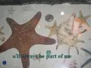 star @ sea