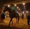 rodeo cowgirl