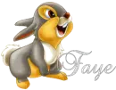Faye