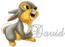 David