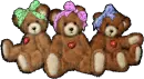 Teddy
