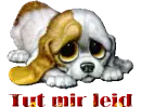 Sorry