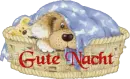 Good night