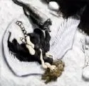 Chained