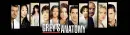 Grey's anatomy logo