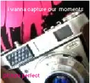 Picture Perfect