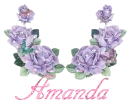Amanda - Glitter Rose