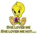 Tweety Bird