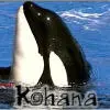 Kohana