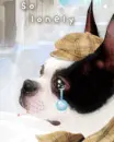 SAD PUPPY