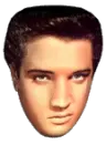 elvis donna head