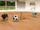 Playing Soccer!!