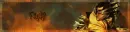 zaraki