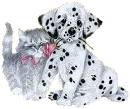 cute kitty and dog