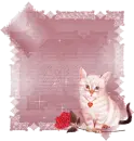 cute kitty