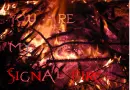 signal fire 