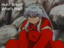 inuyasha - brain?