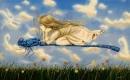 Flying Dragonfly