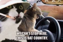 Fear and Loathing in Las Vegas!