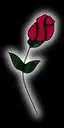 dark rose