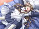 fresh bed