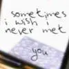 sometimes i wish i never met you