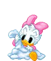 Baby Daisy