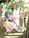 wings