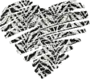 zebra heart
