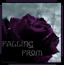 Falling From Grace