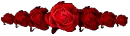 rose divider