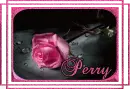 Perry