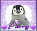 Perry