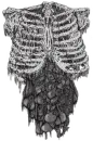 Grey Body {Ribs and Guts]
