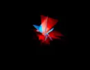 umbrella  corp