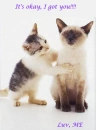 TWO CATS