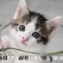 Sure you love me