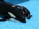 Whale Kisser with Corky