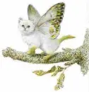 kitty butterfly