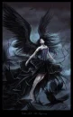 black fairy