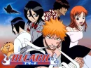 Bleach team