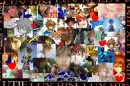 thought u had an obssession with sora??