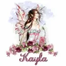 Kayla Fairy Rose