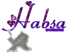 Habsa Texas Pendant