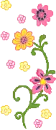 cute flowers