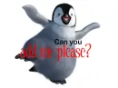 a penguin add