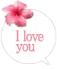 i love u you ,love me